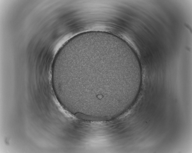 X0000102290944200808151950