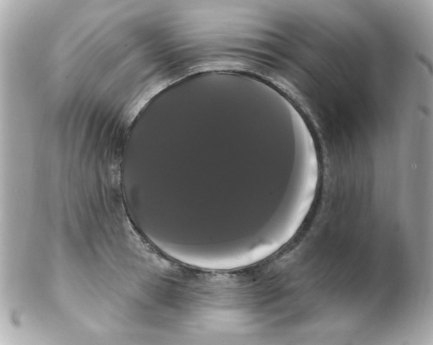 X0000102290945200808151950