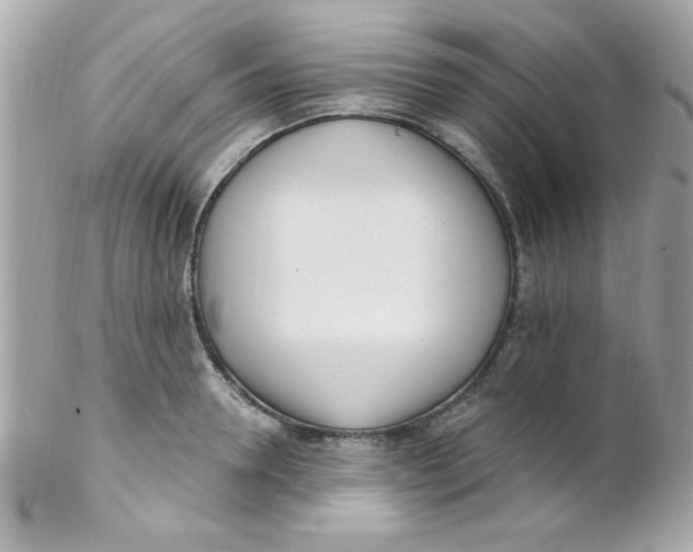 X0000102290946200808151950