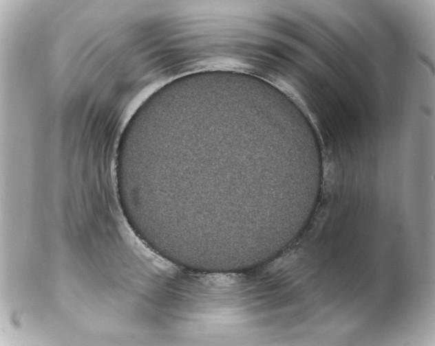 X0000102290947200808151950