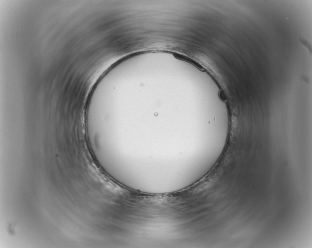 X0000102290948200808151950