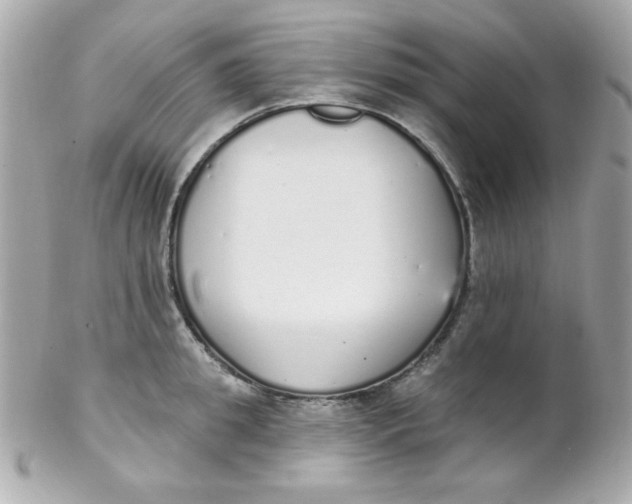 X0000102290949200808151950