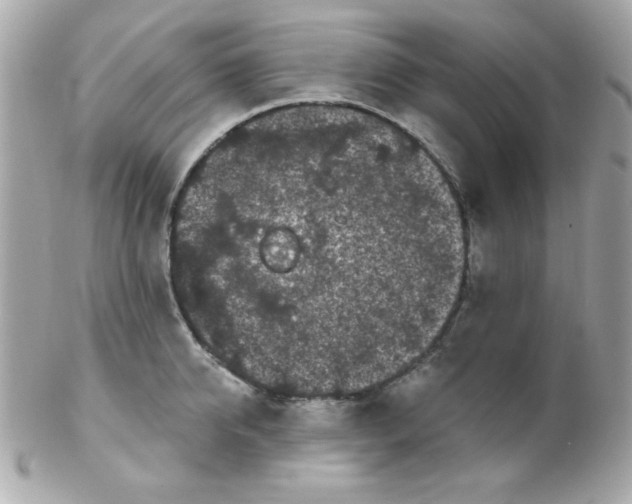 X0000102290950200808151950