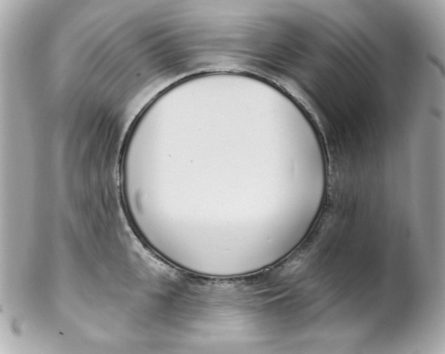 X0000102290951200808151950