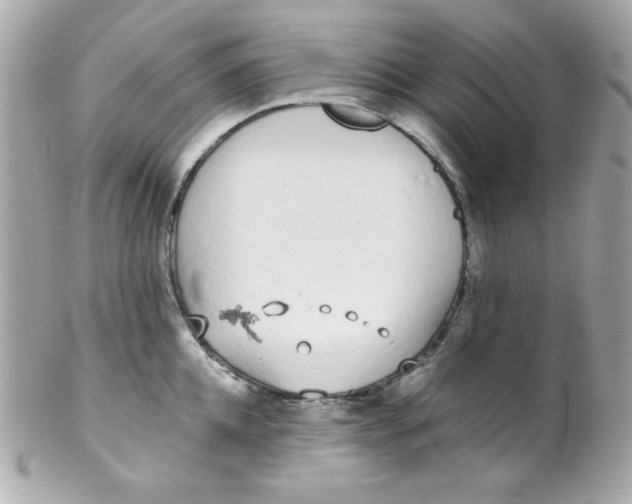 X0000102290952200808151950