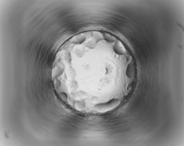 X0000102290953200808151950