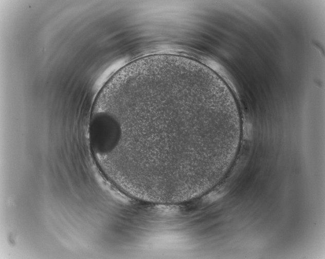 X0000102290954200808151950