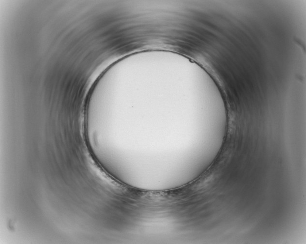 X0000102290955200808151950