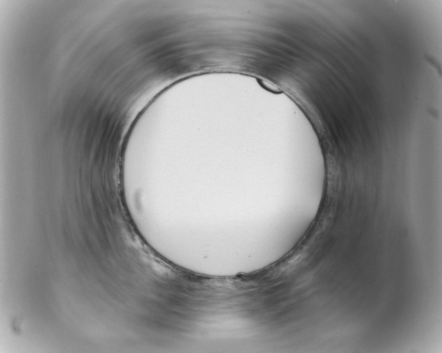 X0000102290956200808151950