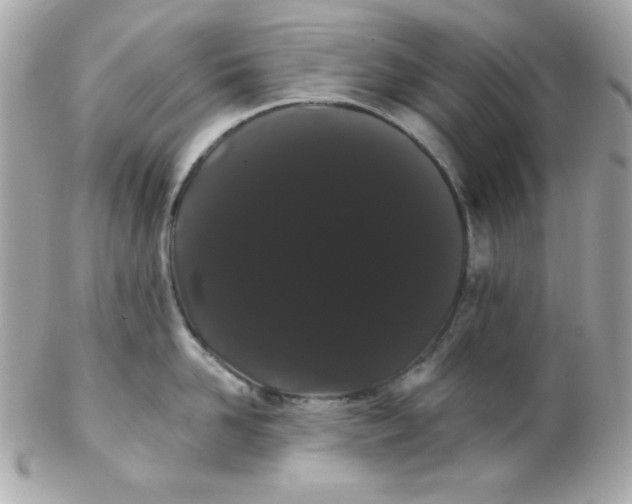 X0000102290958200808151950