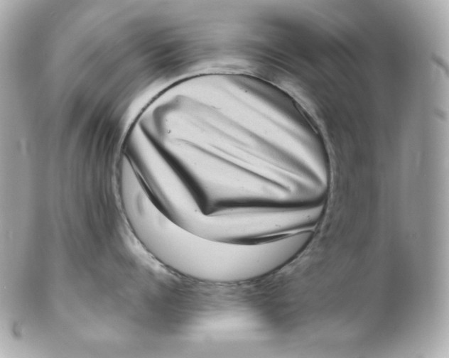 X0000102290960200808151950