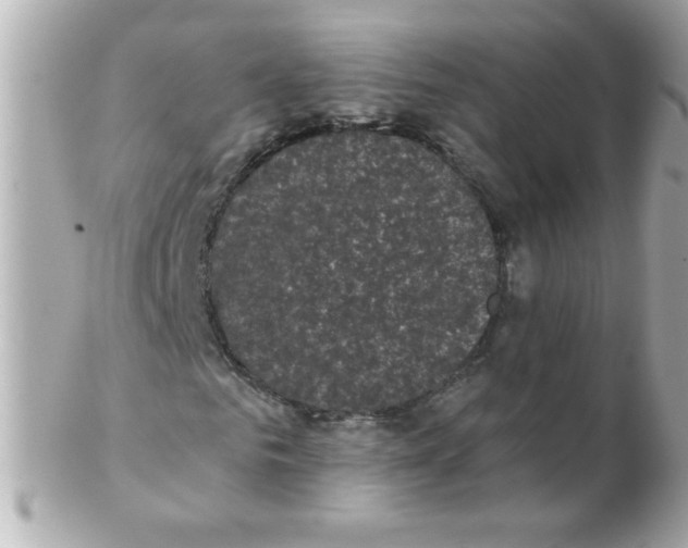 X0000102290961200808151949