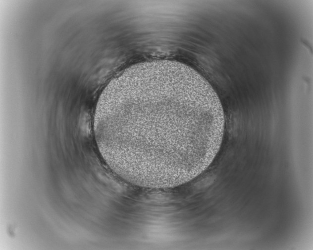 X0000102290962200808151949