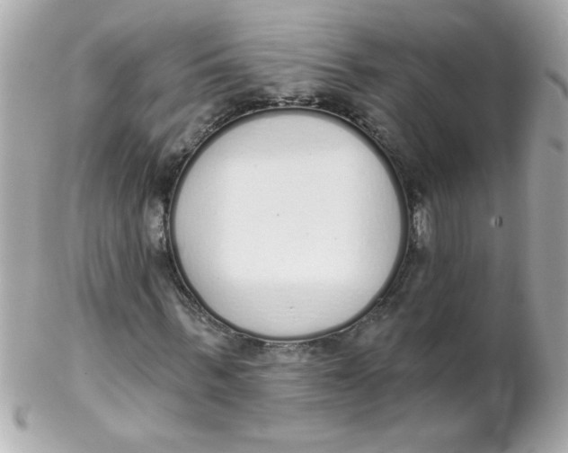 X0000102290963200808151949