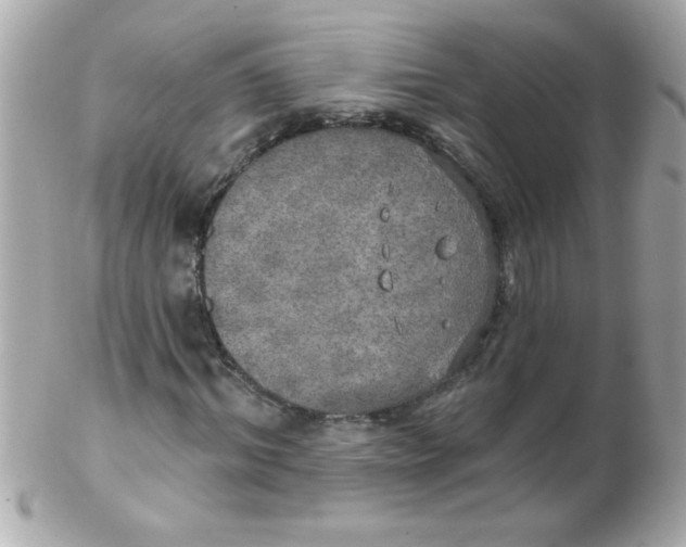 X0000102290964200808151949