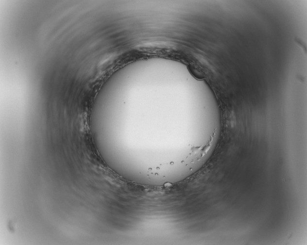 X0000102290965200808151949