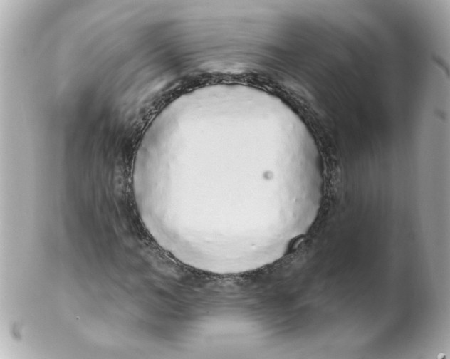 X0000102290966200808151949