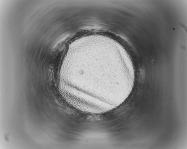 X0000102290967200808151949