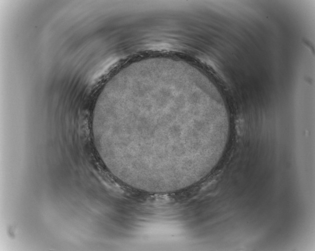 X0000102290968200808151949