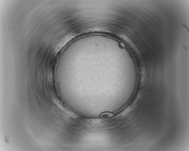 X0000102290969200808151949