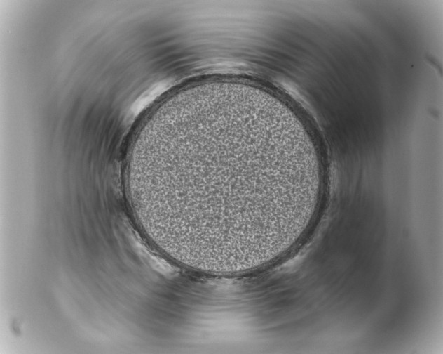 X0000102290970200808151949