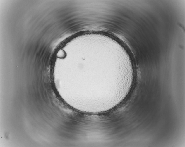 X0000102290971200808151949