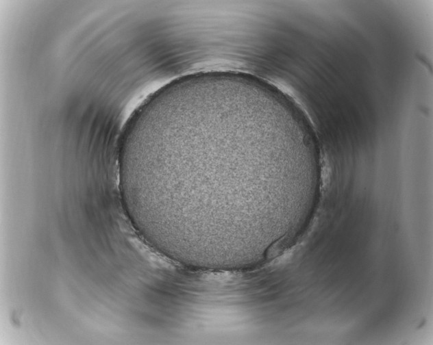 X0000102290973200808151949