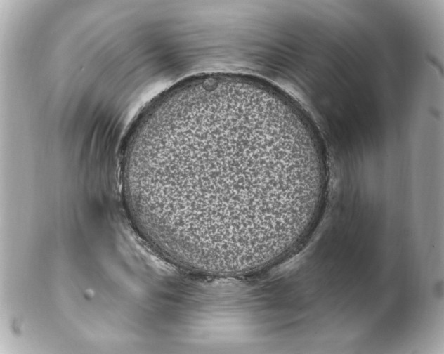 X0000102290974200808151949