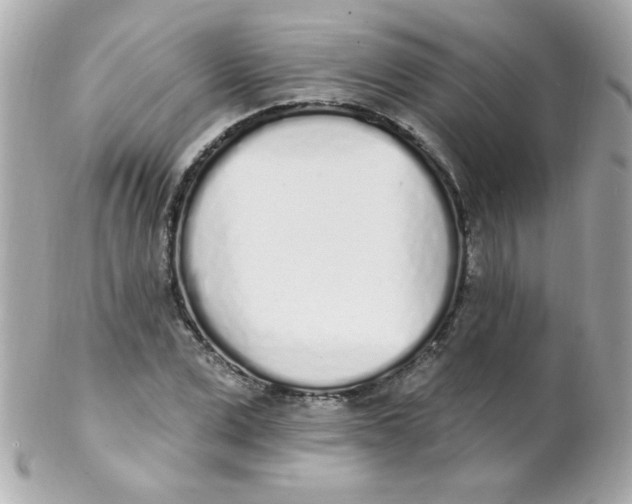 X0000102290975200808151949