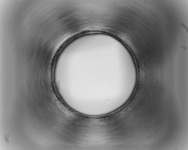 X0000102290976200808151949