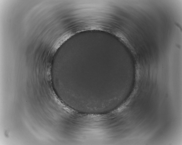 X0000102290977200808151949