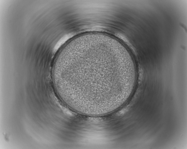 X0000102290978200808151949