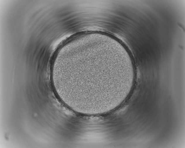 X0000102290979200808151949