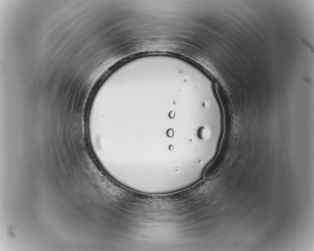 X0000102290980200808151949