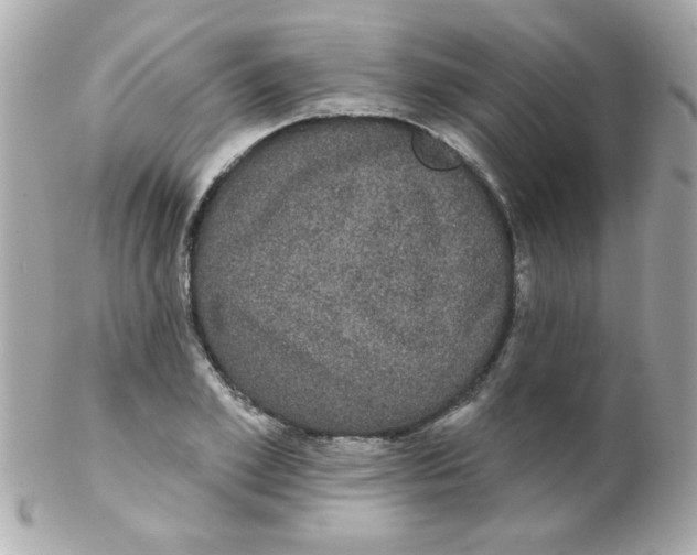 X0000102290981200808151949