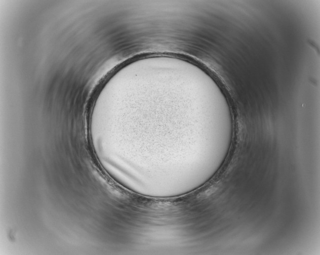 X0000102290982200808151949