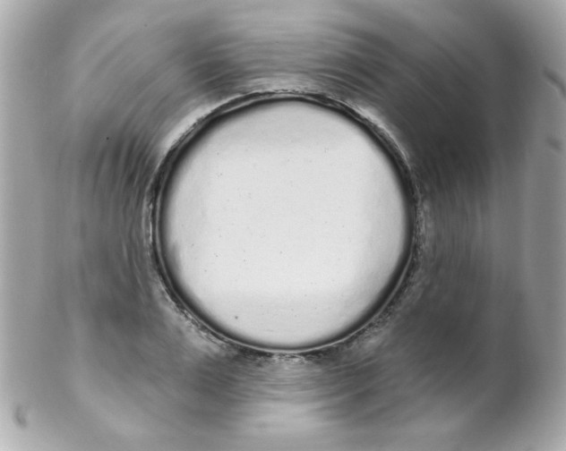 X0000102290983200808151949