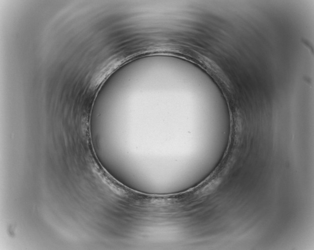 X0000102290985200808151949