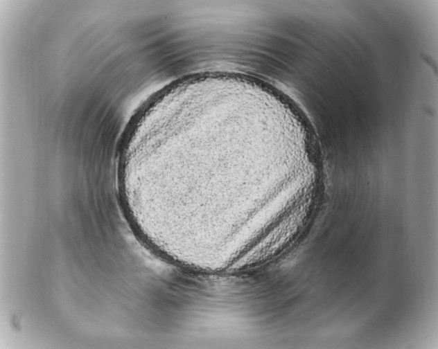 X0000102290987200808151949