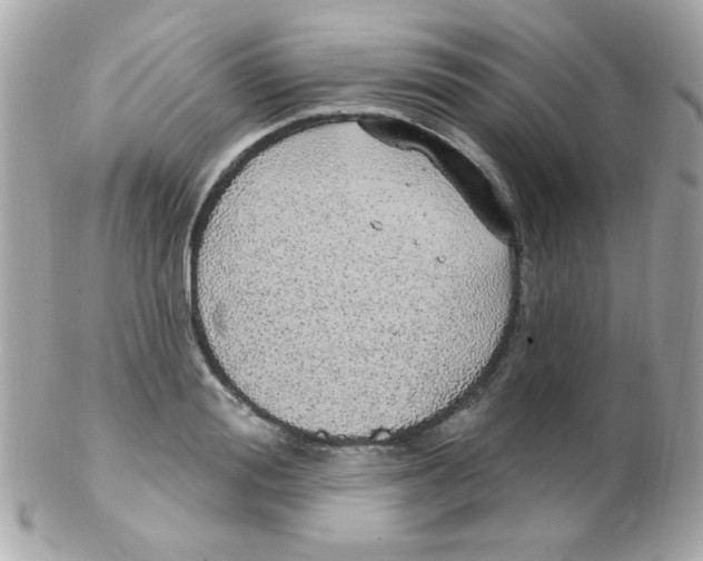 X0000102290988200808151949