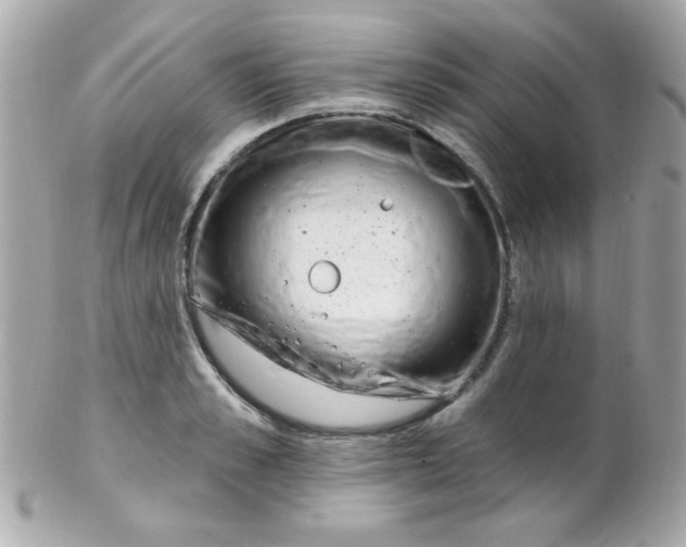 X0000102290989200808151949