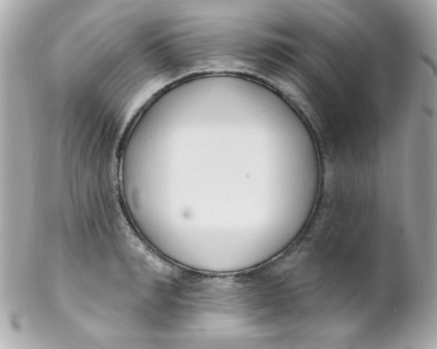 X0000102290990200808151949