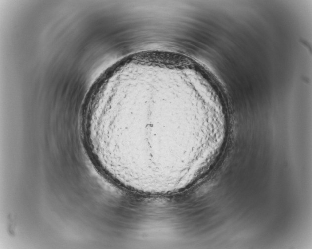 X0000102290991200808151949