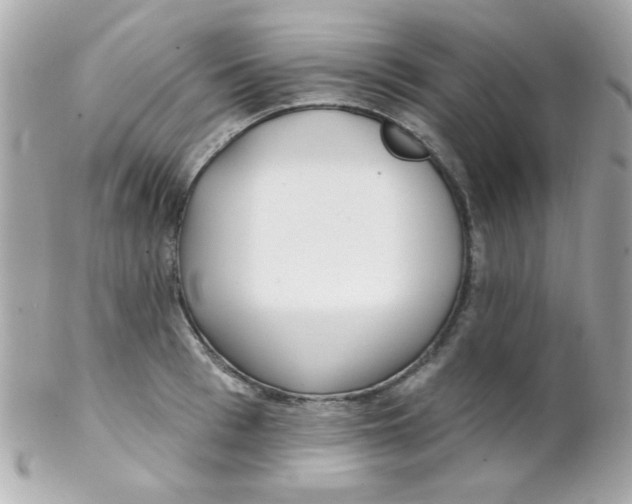 X0000102290993200808151948