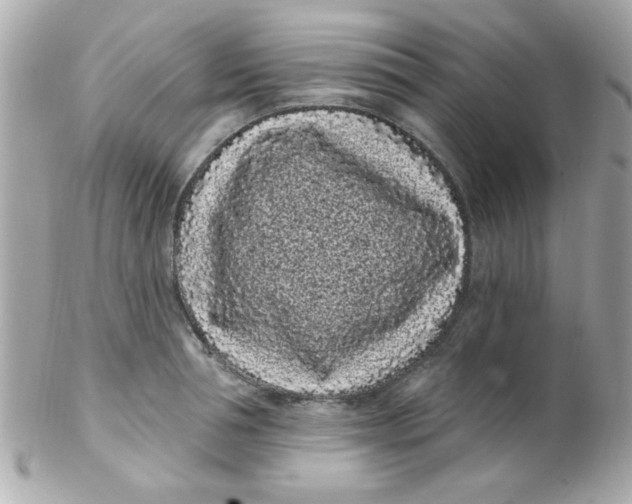 X0000102290994200808151948