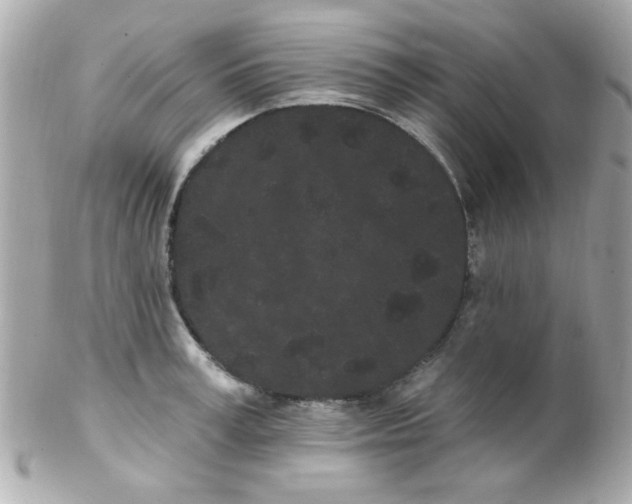 X0000102290995200808151948