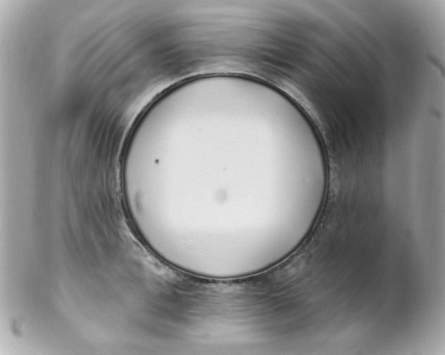 X0000102290996200808151948