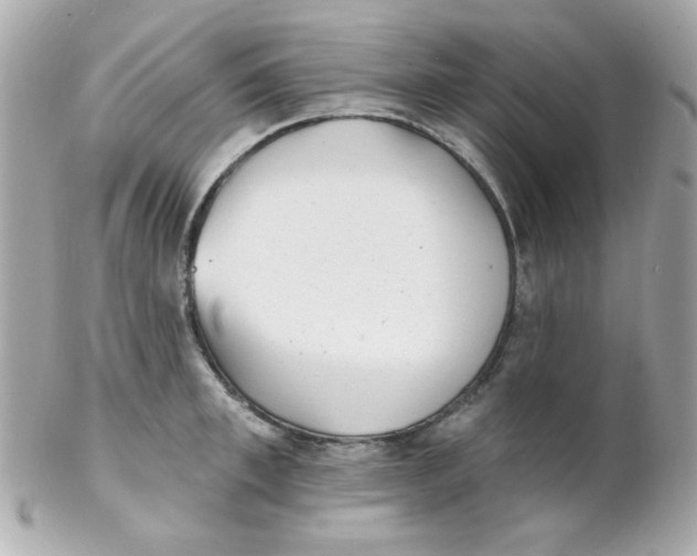 X0000102290997200808151948