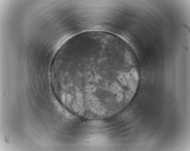 X0000102290998200808151948