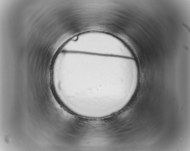 X0000102290999200808151948